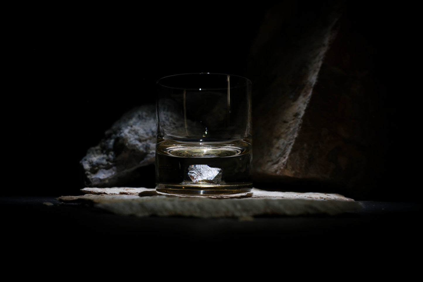 Dinosaur Bone Shard Tumbler - Set of 2