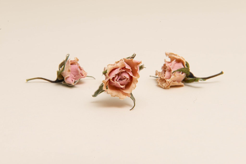Pink Rose - Hand Cut