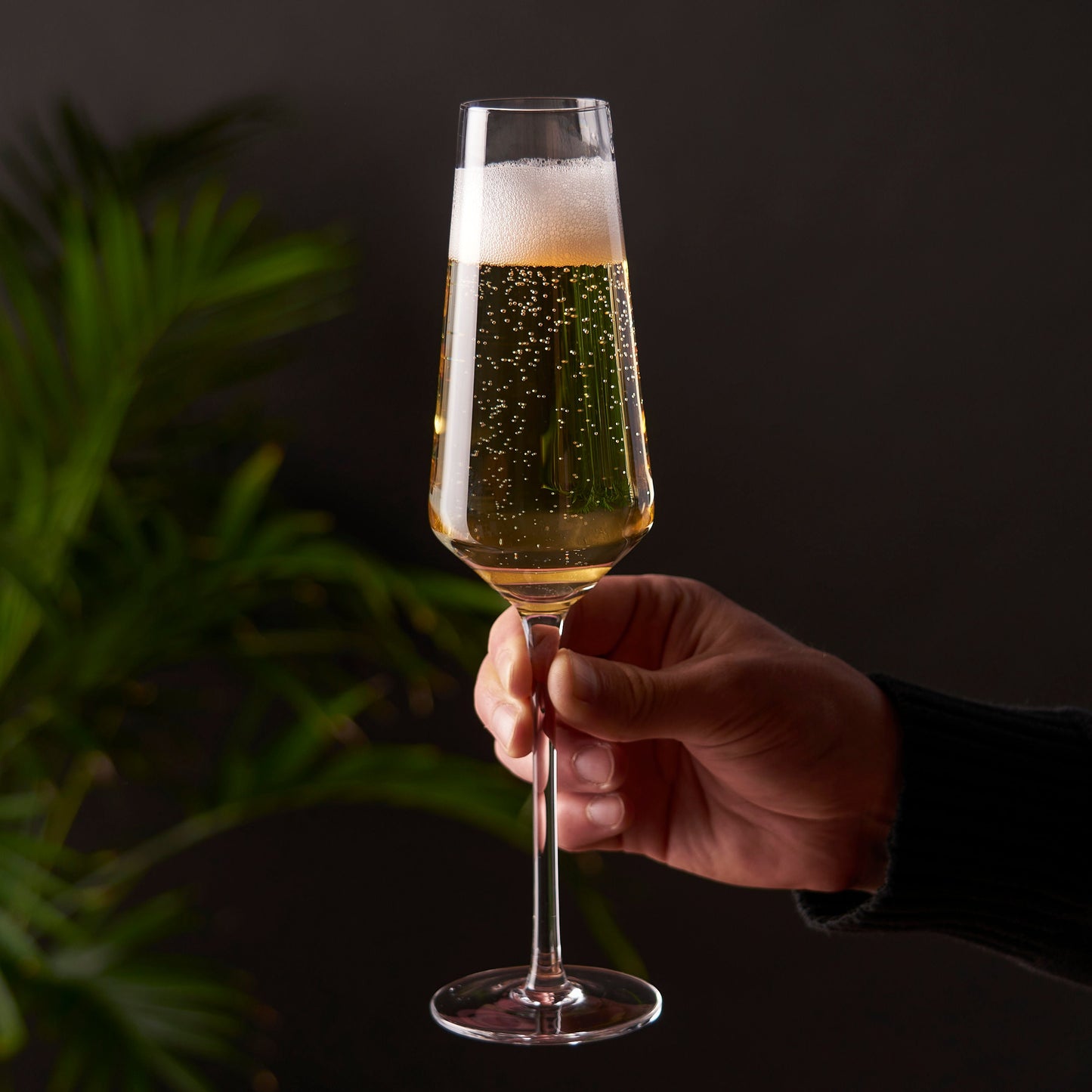 Raye Angled Crystal Champagne Flutes Set of 2