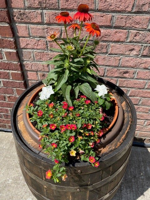 Authentic Whiskey Barrel Planter