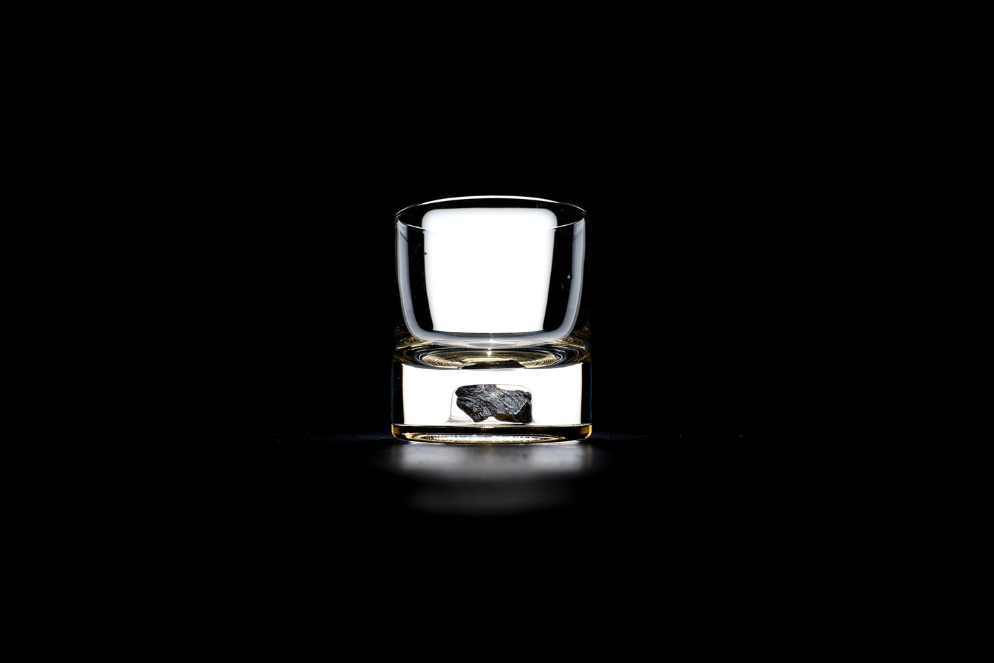 Dinosaur Bone Shard Tumbler - Set of 2