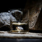 Dinosaur Bone Shard Tumbler - Set of 2