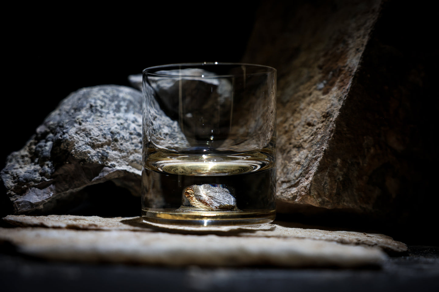 Dinosaur Bone Shard Tumbler - Set of 2