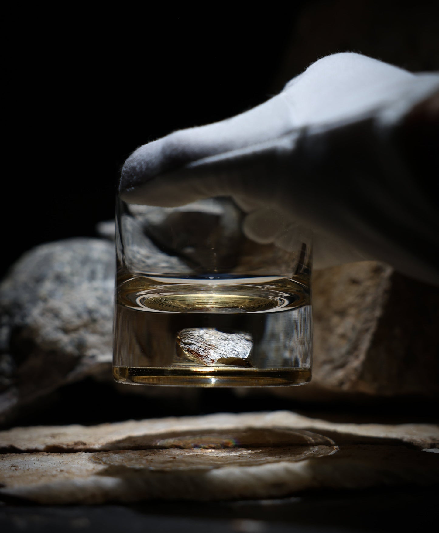 Dinosaur Bone Shard Tumbler - Set of 2