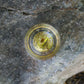 Dinosaur Tooth Tumbler (Series I) - Set of 2
