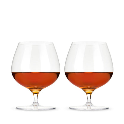 Raye Crystal Wingback Brandy Glasses Set of 2