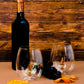 3D Thanksgiving Gnome Stemless Glass