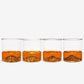 PNW Tumbler Set of 4
