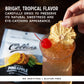 Dehydrated Pineapple Cocktail Garnish, 1 oz