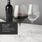 Raye Angled Crystal Burgundy Glasses Set of 2