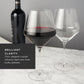Raye Angled Crystal Burgundy Glasses Set of 2